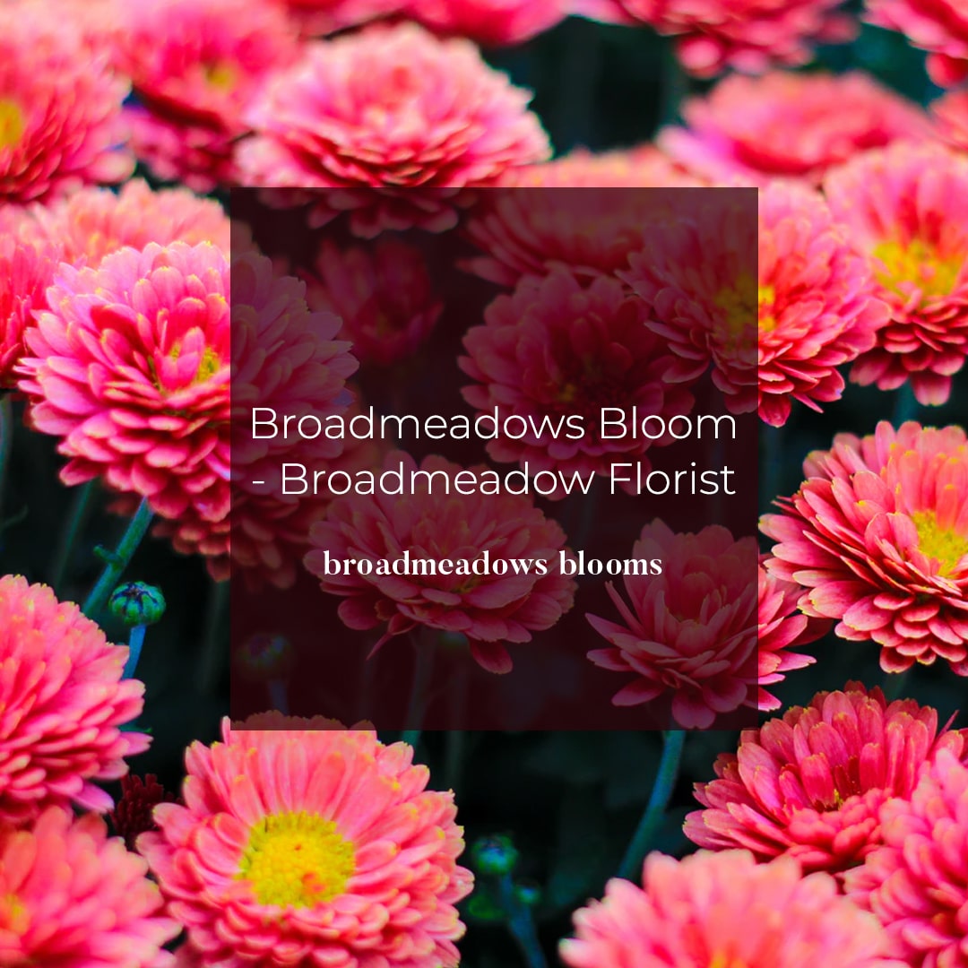 Broadmeadows Florist